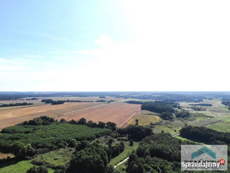 Ogłoszenie działka Niemica 1500m2