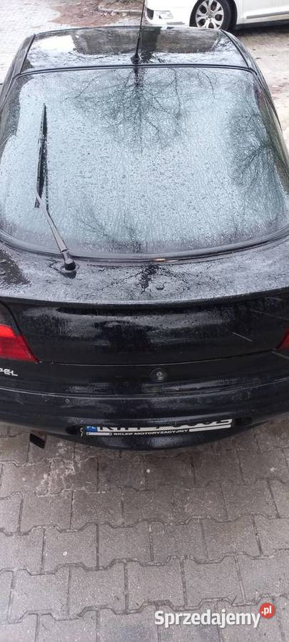 Opel Tigra klapa tył Klapy bagażnika Morawica