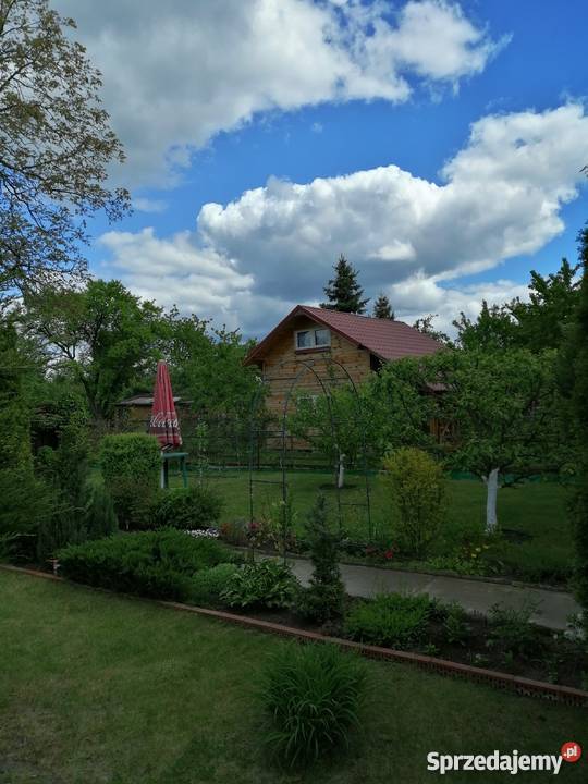 Działka ROD Żwirki i Wigury II w Poznaniu woda Grunty i działki Sierosław