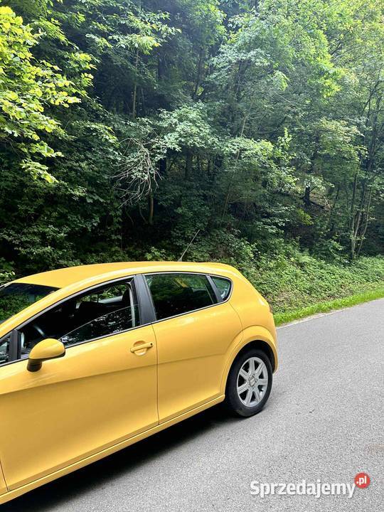 Seat Leon 2 2007r nieuszkodzony Strzyżów