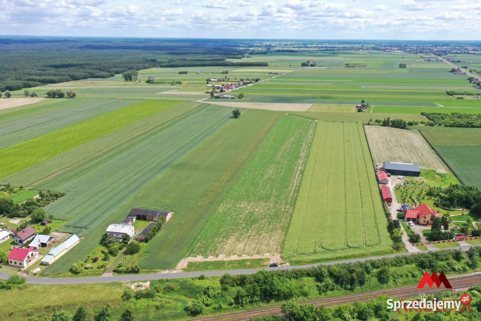 Działka 23519m2 Kowal