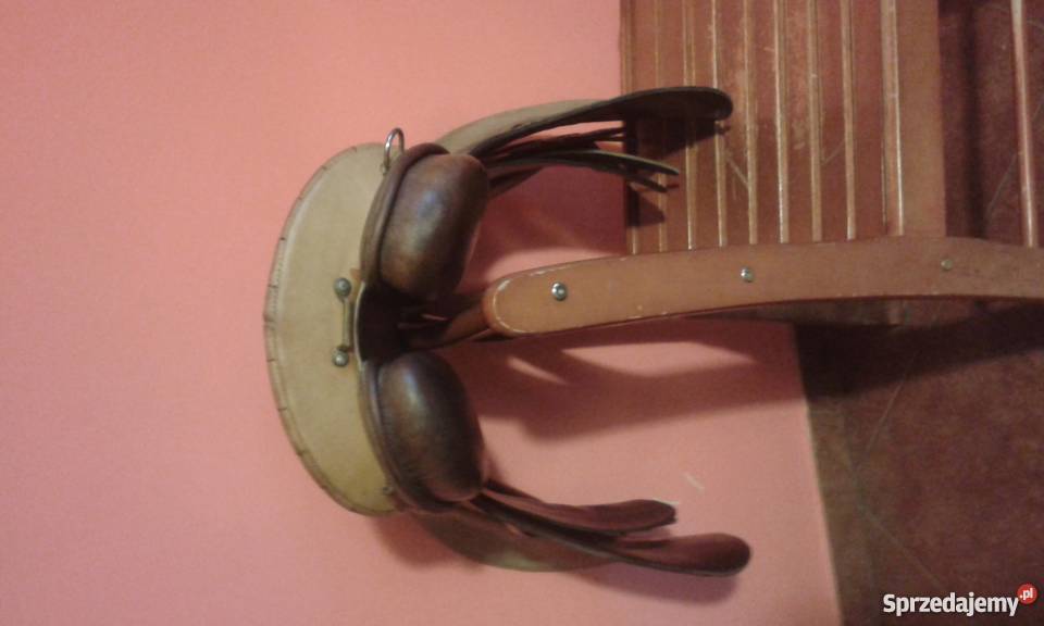 siodło theo sommer warmińsko-mazurskie Nowe Miasto Lubawskie