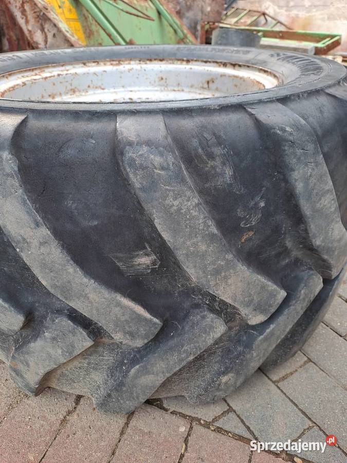 Opony rozmiar 5004520 Nogowczyce