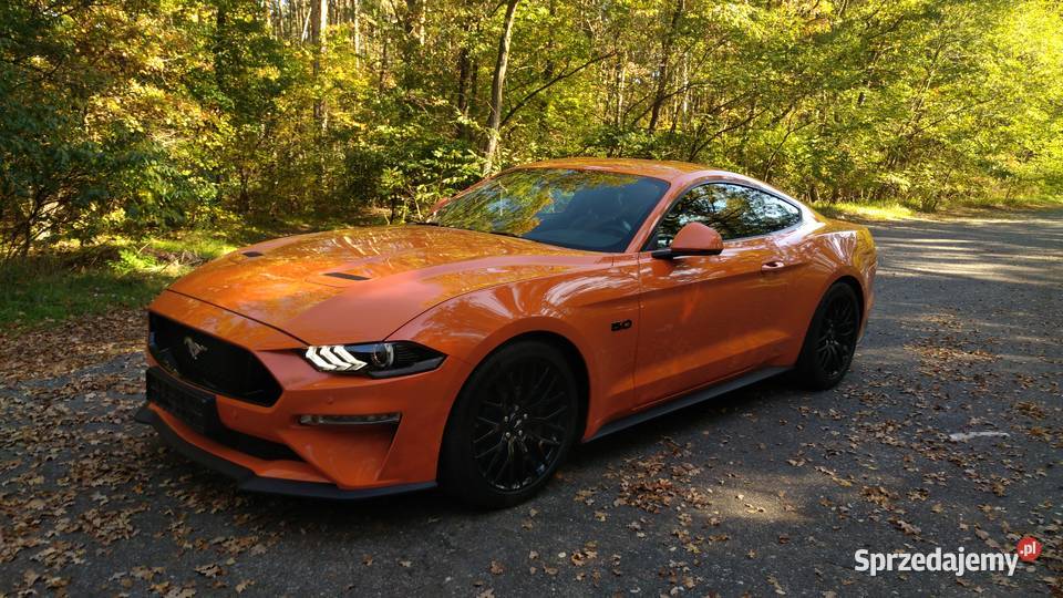 FORD MUSTANG GT V8 450 SALON POLSKA światła przeciwmgielne Mustang Zielona Góra
