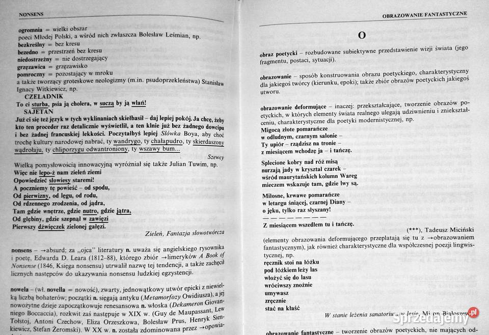 Słownik pisarzy lektur i terminów literackich Rok wydania 1996 Chełm