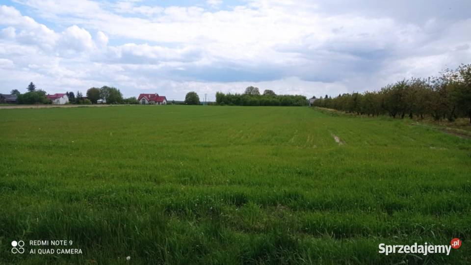 Działka rolna 244ha Sienno