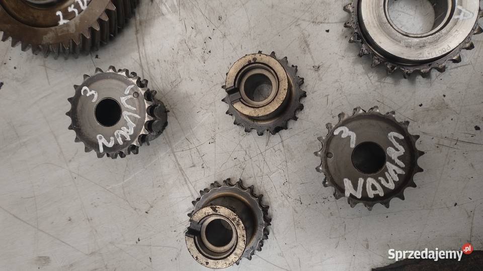 NISSAN NAVAR YD25 25 DCI koło rozrządu pasowe osobowe Kielce