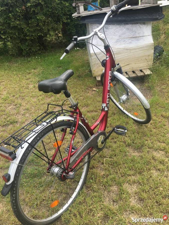 Damka aluminium 28 7 biegów Luzino