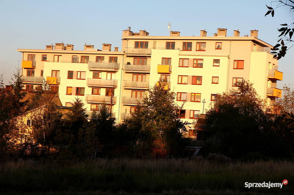 WOLA DUCHACKA WŁOSKA Mieszkanie 2pokojowe słonec Liczba pokoi 2 Mieszkania Nieruchomości Kraków