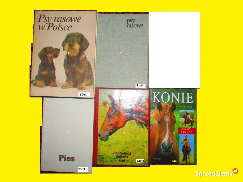 ATLAS ras zwierząt gospodarskich bydło rolnictwo Łódź