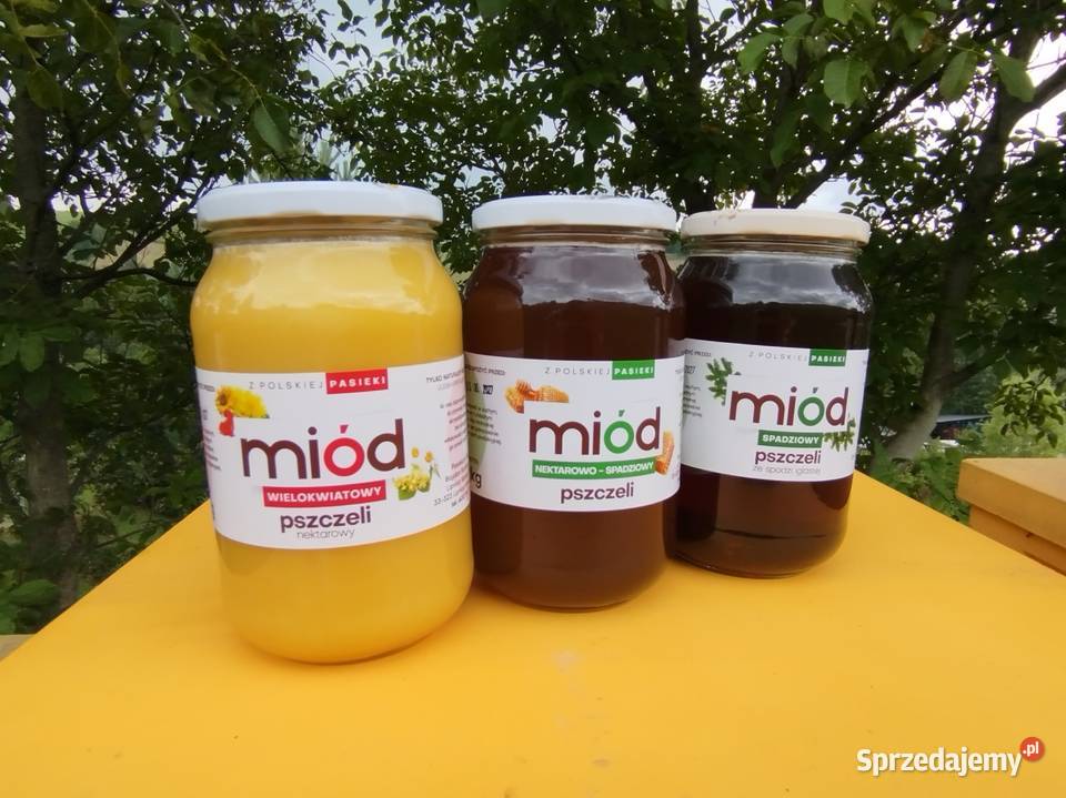 100 Miód spadziowy ze spadzi iglastej naturalny Lipnica Wielka