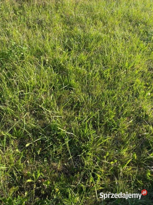 Grunt Jarosławiec 300m2