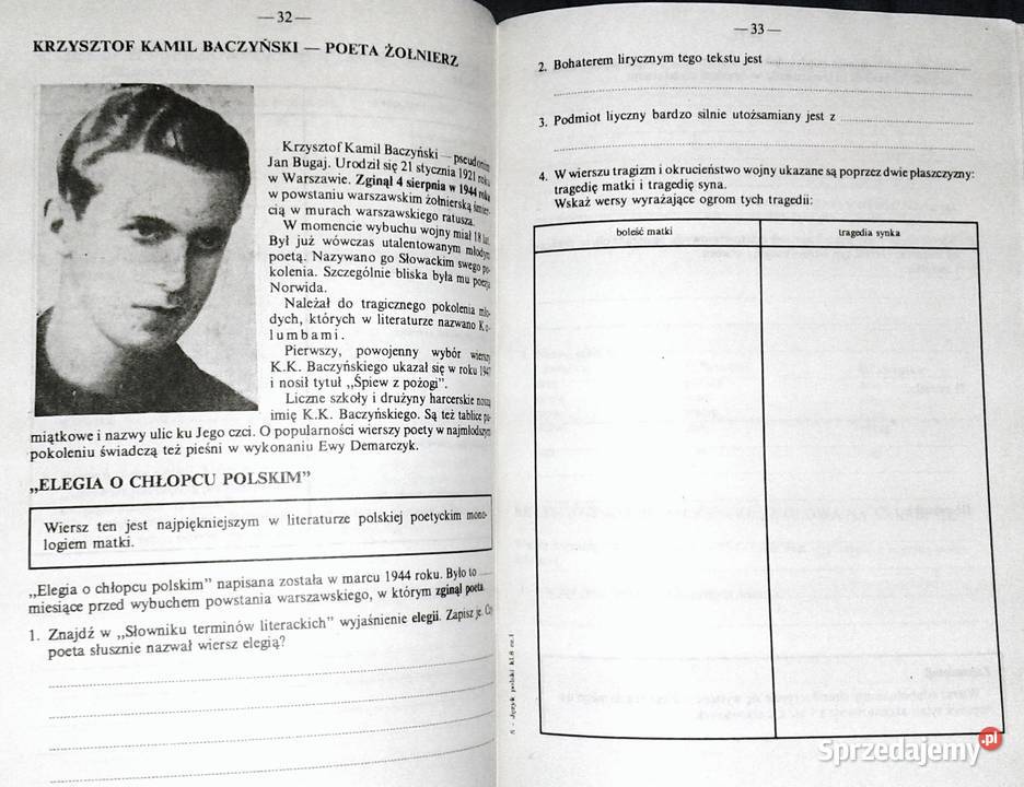 Język polski Zeszyt ćwiczeń kl 8 Elżbieta lubelskie Chełm sprzedam