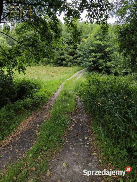 Sprzedaż działki 5000m2 Huta Gogołowska