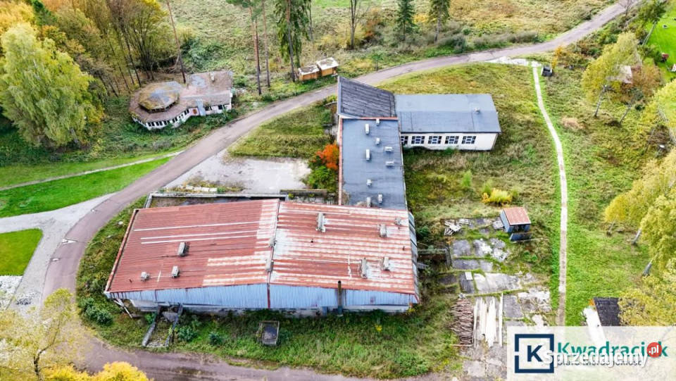 Sprzedaż lokalu 1750m2 Tylawa Sprzedaż