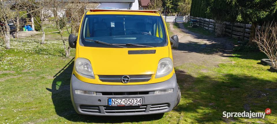 Zdrowe Vivaro Nowe Kiejkuty