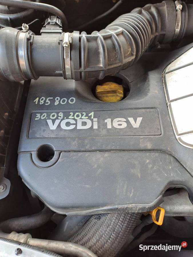 Sprzedam opolskie Nysa