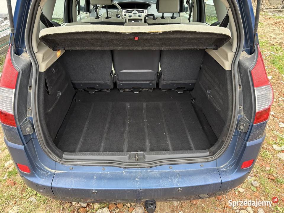 Renault Scenic II bluetooth Brodnica