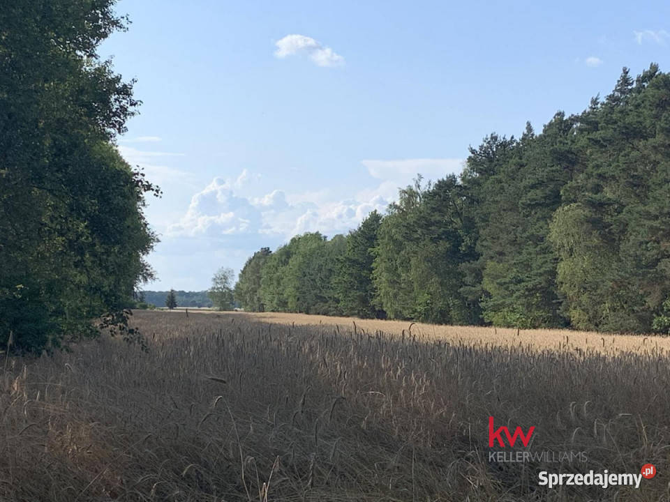 Działka 3245m2 Łosiniec sprzedam