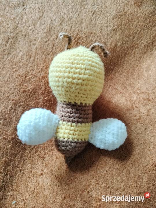 Pszczółka śląskie Częstochowa