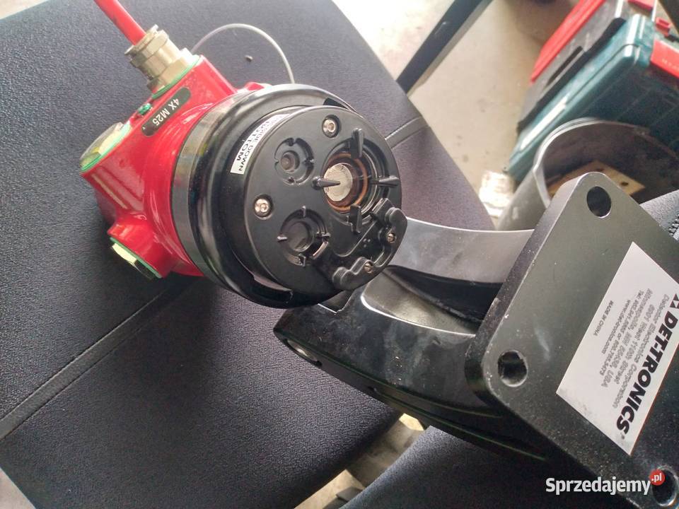 Detektor płomienia DetTronics Przedbórz