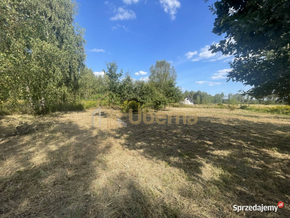 Działka pod Goleniowem Żółwia Błoć 42 mniej