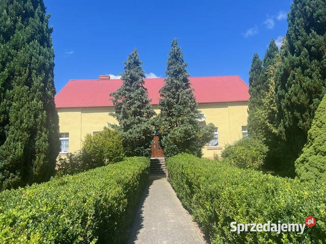 Syndyk sprzeda udział w wysokości 14 Kłodowo