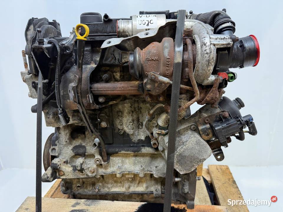 SILNIK UGJC Ford Fiesta VII MK7 B B 15 TDCI 75 lubelskie Chełm