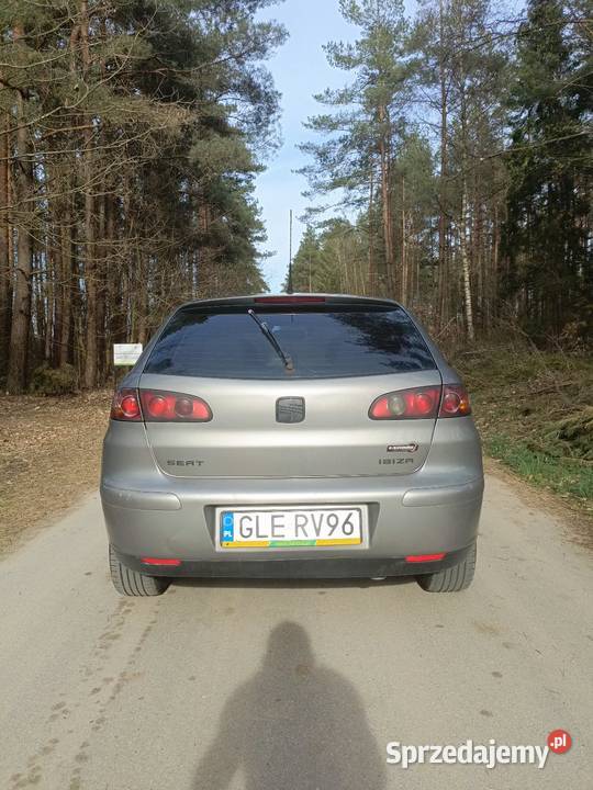 Seat Ibiza 6l 19 TDI pomorskie Chośnica sprzedam