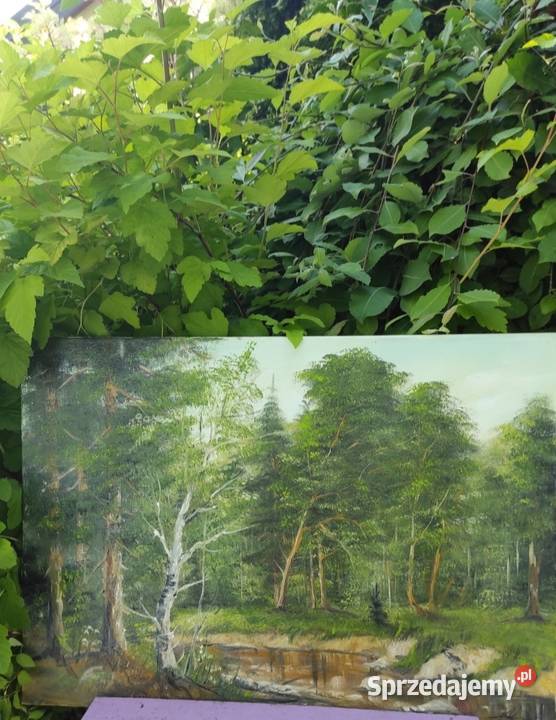 PEJZAŻ LEŚNY OLEJ NA PŁÓTNIE 70 x 50 Pabianice