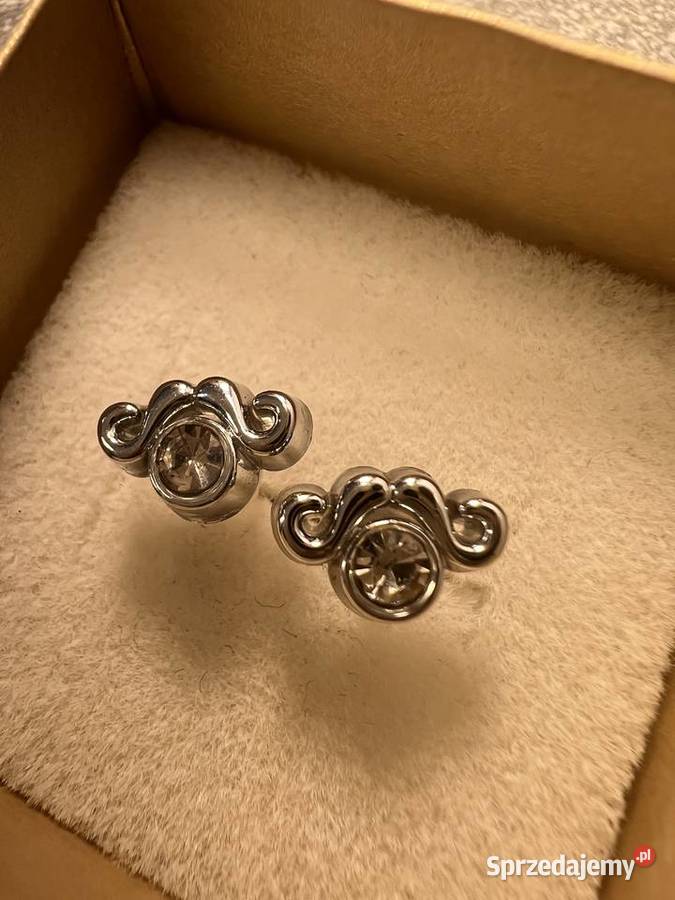 Kolczyk wąs wąsy Jasło