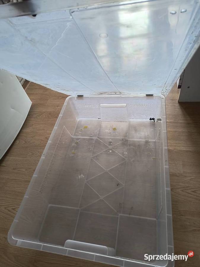 Pudełko box hodowlany terrarium Bielsko-Biała