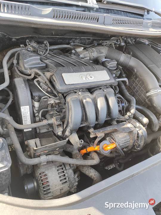 Sprzedam Volkswagen Golf Plus 2007 16 MPI 102 Kielce