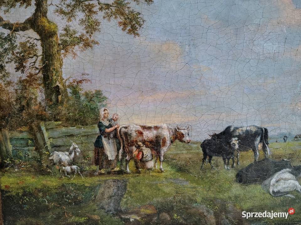 Barokowy obraz olejny Krowy sprzedam