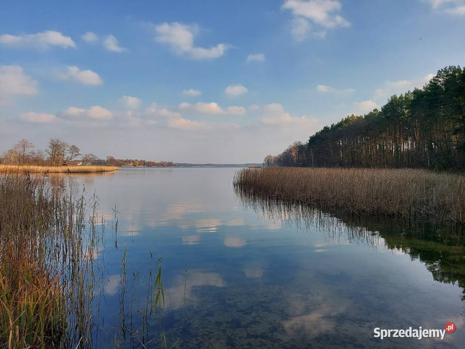 Piękna działka j Białe 300 m asfalt