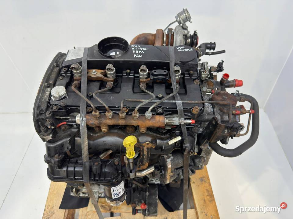 SILNIK P8FA Ford Transit VII MK7 22 TDCI 85 Chełm