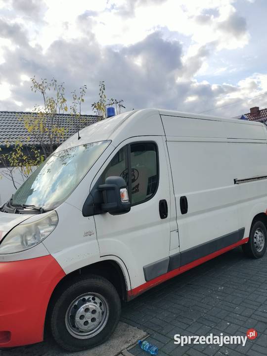 fiat ducato Drągowina
