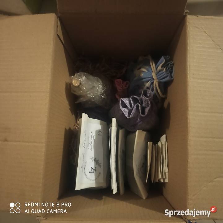 Nasiona lawendy lekarskiej lawendula Rośliny przemysłowe Korczew