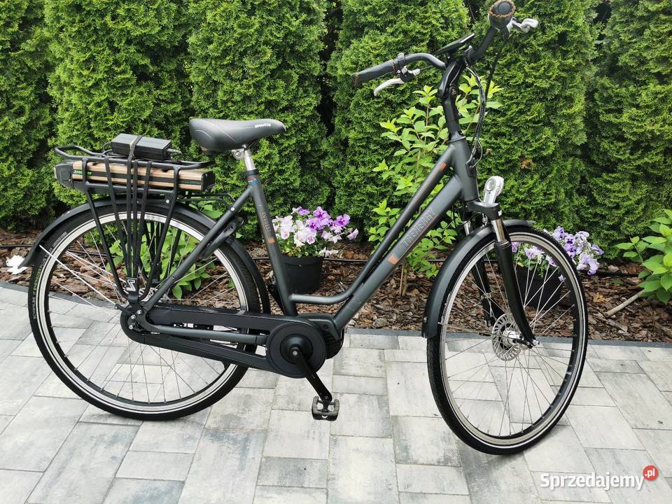 Rower ELEKTRYCZNY Trenergy Everest 8 biegow D54 podlaskie Hajnówka