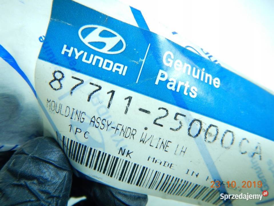 LISTWA BŁOTNIKA LEWY PRZÓD HYUNDAI ACCENT 00 ASO lubelskie