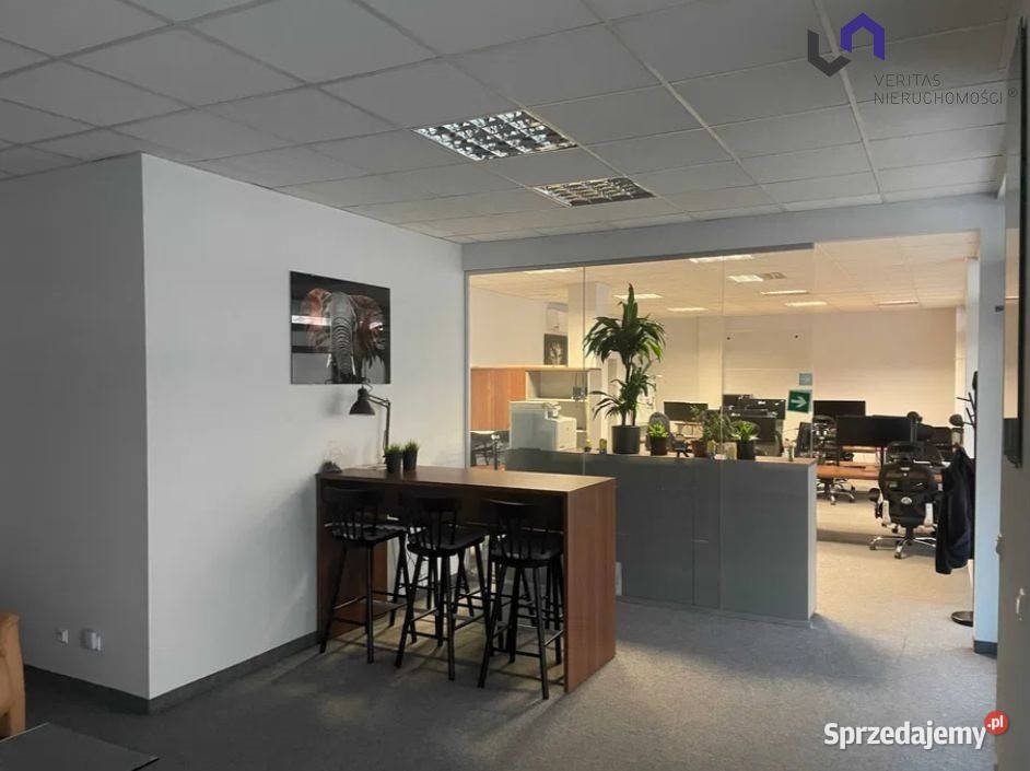 Lokal 101 metrów Gliwice Jagiellońska dojazd asfaltowy