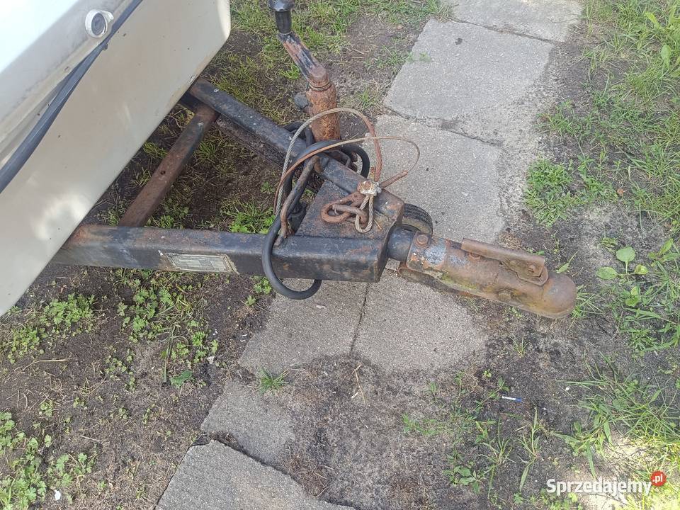 Niewiadów N126 Stryków