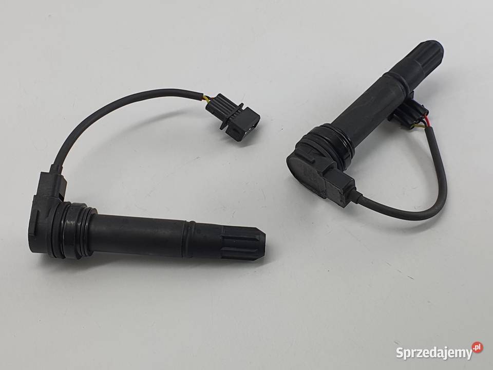 Cewka Fajka Benelli Bn 302 Łódź