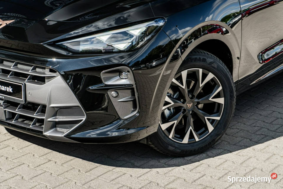 Cupra Terramar 15 eTSI 150 DSG Terramar