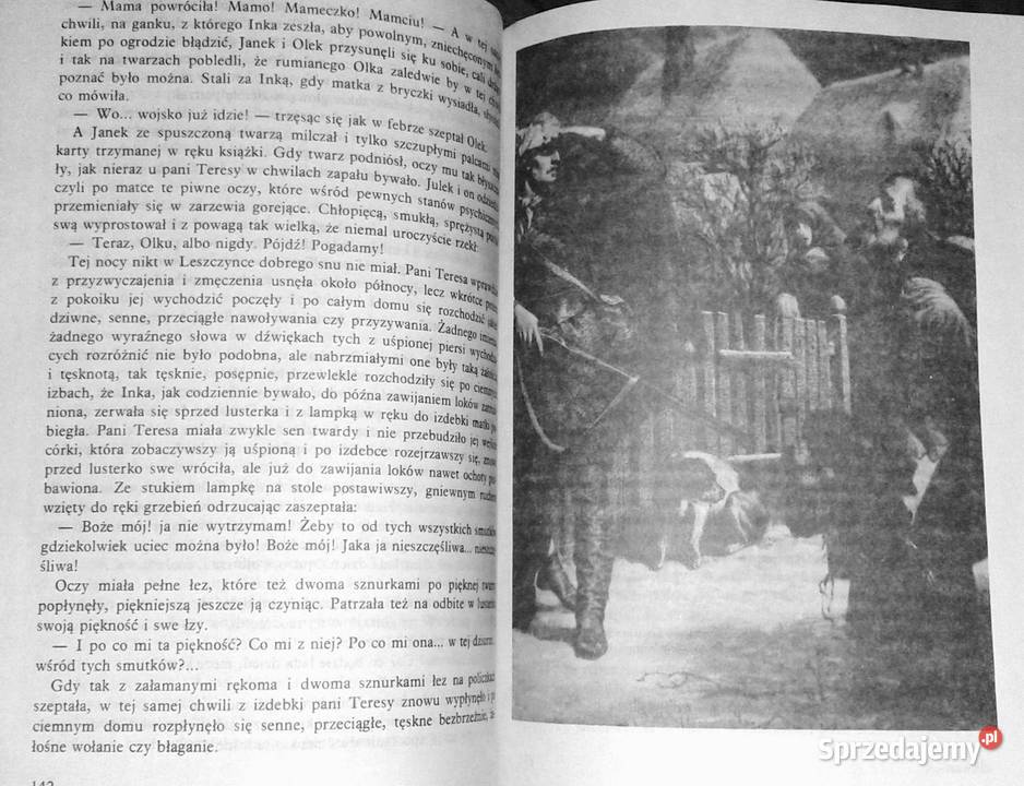 Gloria victis Eliza Orzeszkowa lubelskie Chełm