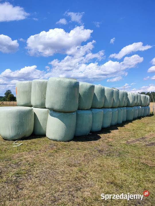 Baloty sianokiszonki