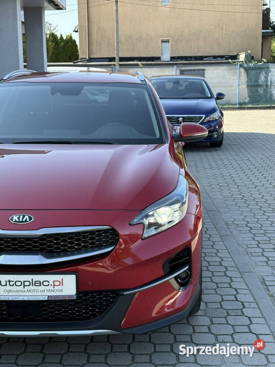 Kia XCeed 15 160 Automat Pół Skóry Kamera Full Tarnowskie Góry