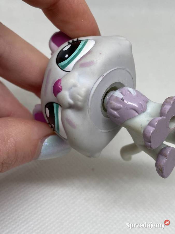 LPS Littlest pet shop 2428 Łódź