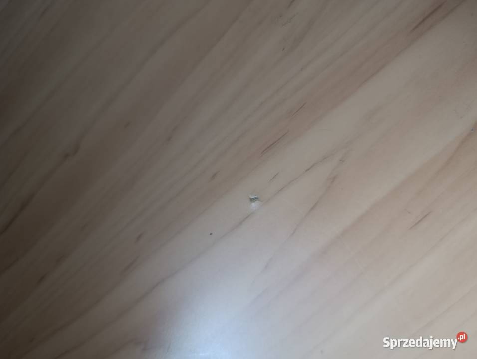 zestaw mebli szafka i biurko sprzedam Poznań