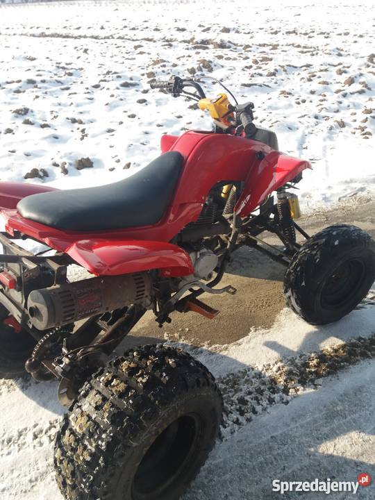 QUAD BASHAN 250 250cm3 Motoryzacja Żabno